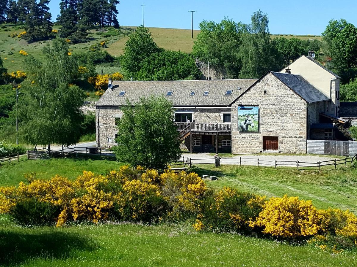 Logis Les Granges De Bigose Gasthuis Rimeize